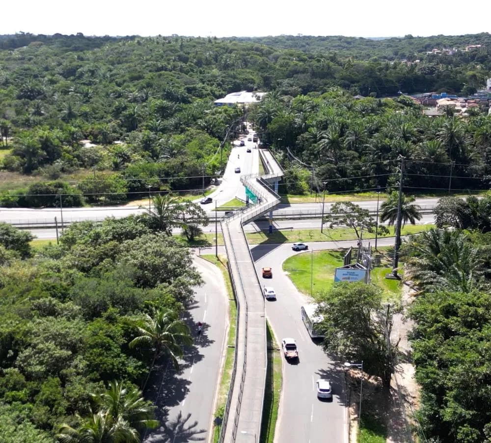 Motociclista morre após bater cabeça em passarela na BA-099, Praia do Forte