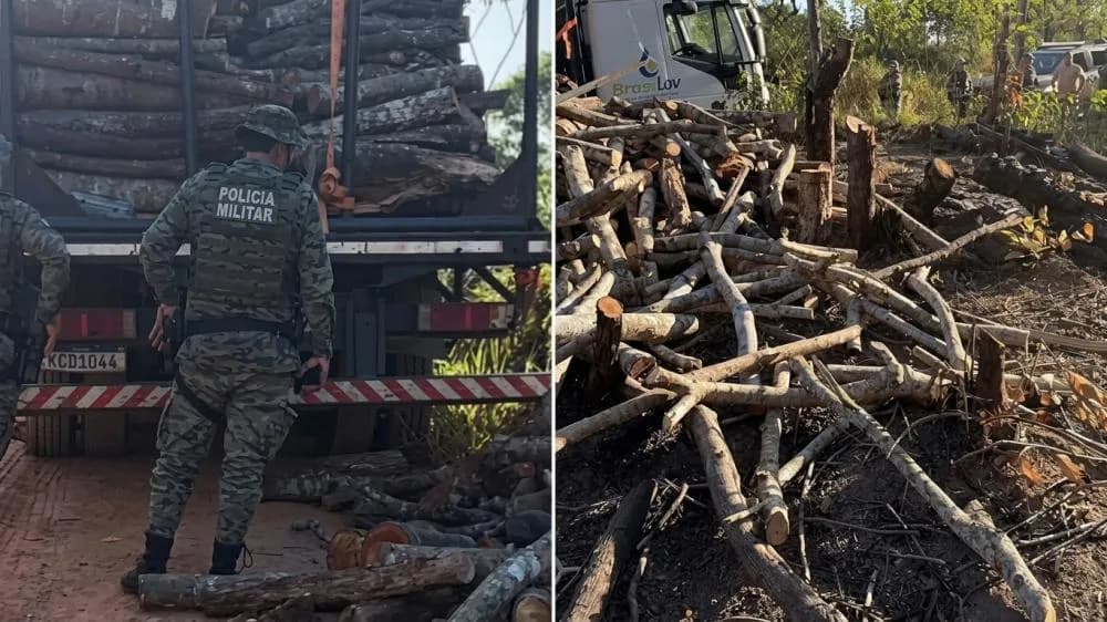 PM apreende caminhão com madeira nativa sem origem em Camaçari