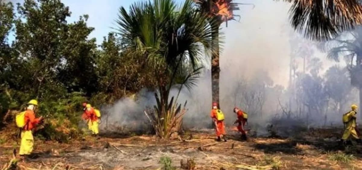 Incêndio no Parque Nacional do Boqueirão da Onça preocupa moradores na Bahia