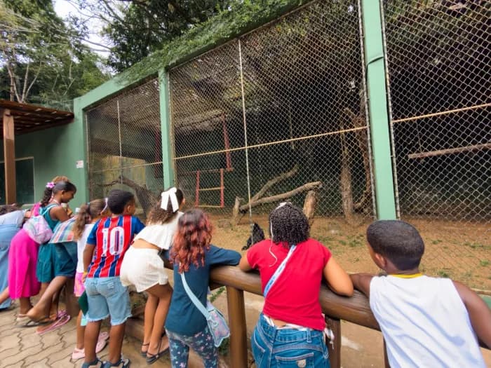 Prefeitura de Lauro de Freitas leva crianças do CRAS Caji para passeio ao zoológico