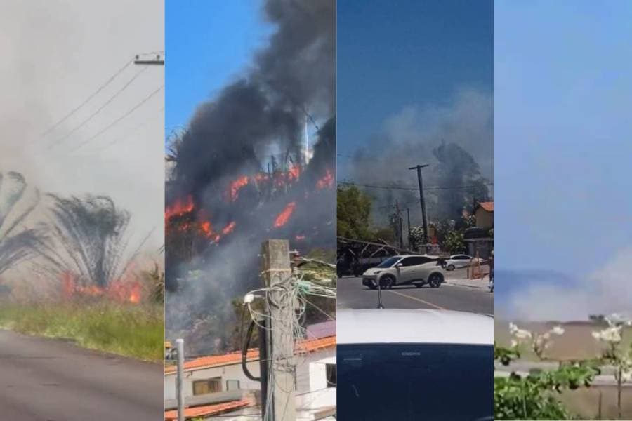Queimadas em Salvador e interior da Bahia preocupam com incêndios e bloqueios
