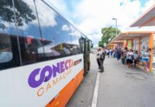 Transporte Público em Ação: Corujão e Novas Linhas Começam Já na Segunda!