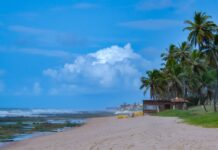 “Vilas do Atlântico: Música e Cultura Transformam o Fim de Semana!”