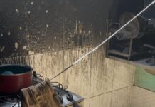 “Incêndio Devastador: Prefeitura Ajuda Quilombolas de Quingoma!”