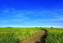 Surpreenda-se: Camaçari terá céu parcialmente limpo neste domingo! Confira!