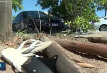 Adolescente atropela jardineiros em Camaçari, presta depoimento e é liberado!