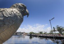Mudanças no Trânsito e Transporte Público na Lavagem de Jauá