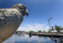 Mudanças no Trânsito e Transporte para a Lavagem de Jauá