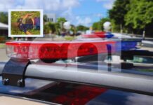 Corpo com marcas de tiros é encontrado em Camaçari – saiba mais!