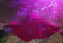 Jovem é assassinado durante partida de dominó no Parque Real