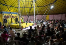 Dia do Circo: Espetáculo Gratuito Imperdível em Camaçari!