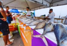 Feira do Peixe agita o Centro Comercial de Camaçari nesta quinta-feira!