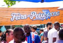 Produtos de Qualidade a Preços Baixos: Clientes Elogiam Feira do Peixe