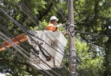 Operação Gatonet: Fique por Dentro da Ação em Camaçari!