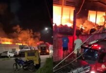 Incêndio Devasta Galpão de Reciclagem em Camaçari: Saiba Mais!