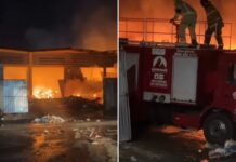 Incêndio em Camaçari: Galpão do Parque das Palmeiras em Chamas!