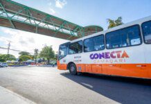 Nova linha do Conecta Camaçari melhora itinerários de ônibus