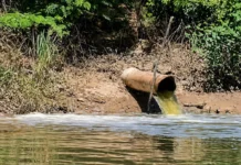 Poluição no Rio Pojuca: Moradores de Barra do Pojuca Revoltados!