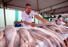 Feira do Peixe em Camaçari: Garanta seu frescor até sábado!