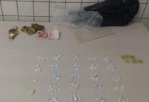 260 pinos de cocaína: suspeito é preso em Areias!