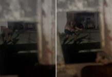 Advogada denuncia agressões e teme impunidade de comerciante político
