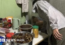 Bastidores do resgate que levou a BYD à lista de trabalho escravo
