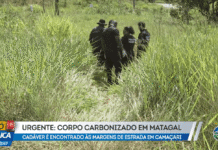 Corpo carbonizado é descoberto em rodovia de Camaçari