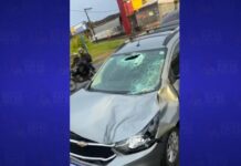 Carro bate em boi na Estrada da Cascalheira, Camaçari