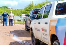 Recuperação do manguezal em Barra do Jacuípe começa em Camaçari