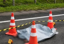Atropelamento fatal na BA-099: saiba o que aconteceu em Arembepe