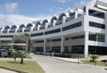 MP-BA processa empresas por desmatamento ilegal em Camaçari