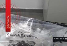 Drogas Apreendidas em Camaçari: Ação Policial Surpreendente!