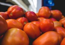 Cai 3,22% a cesta básica em Camaçari por causa do tomate