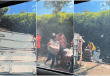 Caminhão tomba na BR-101 e frango é saqueado na Bahia