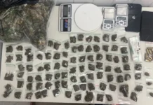 Maconha e munições: PM apreende 95 porções em Camaçari