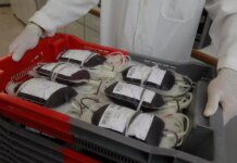 Sabadão Solidário: Aumente suas chances de doar sangue na Hemoba