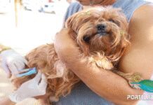 Vacinação antirrábica neste sábado em Abrantes, Arembepe e Barra do Jacuípe!