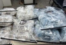 Apreensão de 10 mil porções de drogas em Camaçari: saiba mais!