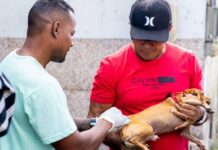 Vacinação Antirrábica: Camaçari realiza Dia D neste sábado