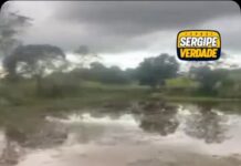 Tragédia em Canhoba: Dois jovens morrem após entrarem em açude