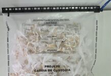 Polícia encontra 2 mil pedras de crack em terreno em Ibicuí