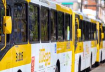 Novas Linhas de Ônibus Transformam Bairros! Descubra Como!