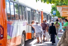Camaçari amplia transporte público: 5 novas linhas na orla e sede!