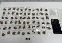 Drogas e munições apreendidas em operação policial em Camaçari