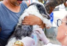 Vacinação antirrábica em Monte Gordo: Confira neste sábado!