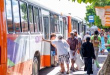 Novas cinco linhas de transporte público na sede e orla!