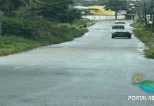 Las Palmas: Moradores exigem limpeza e poda urgente de árvores