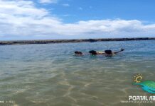 Descubra o Litoral Norte da Bahia: História à Beira-Mar!