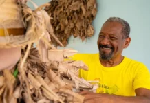 Identidade de Parafuso: Como Tradição e Ancestralidade Impactam