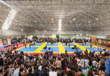 Lutas e Atrações Gratuitas: Descubra a Expo Fight Bahia 2026!
